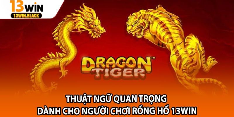 Giao diện chơi Rồng Hổ trực tuyến tại 13win với dealer thật và tỉ lệ cược rõ ràng"