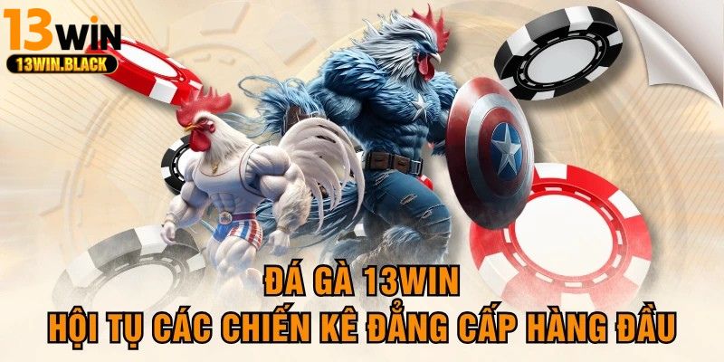Người chơi đặt cược đá gà 13win với giao diện đơn giản